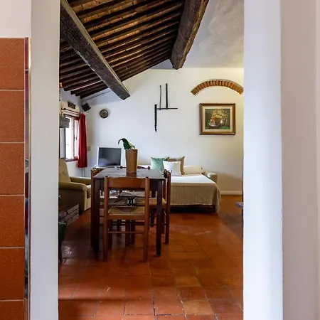 Centro Petite Apartment